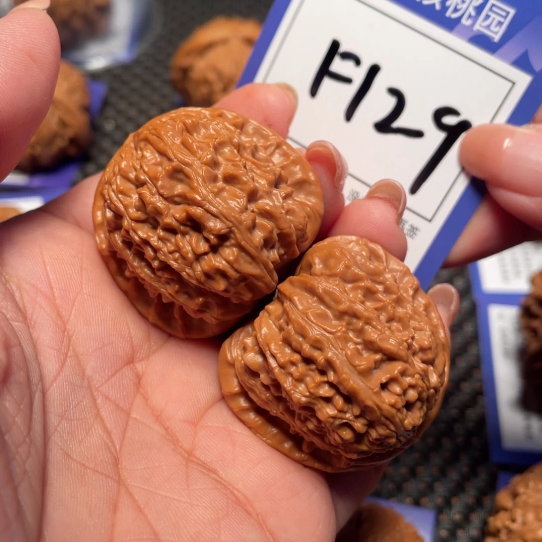 桃核把件129号白狮子36尺