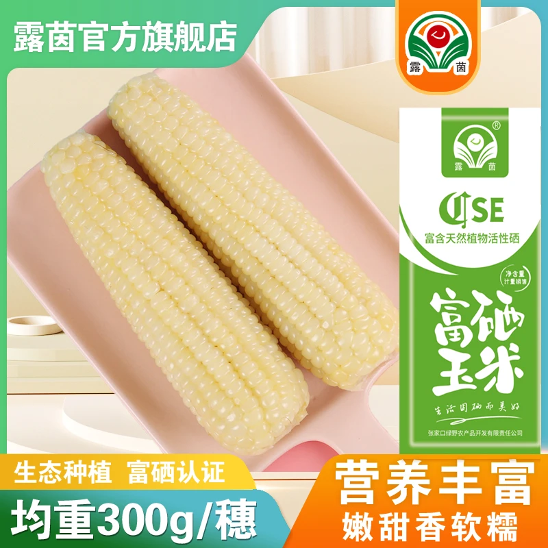 2025新品种 【露茵】 富硒甜嫩糯300  软嫩甜糯 大个头每根300g以上