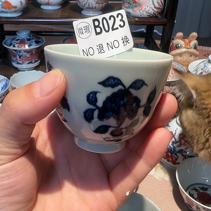 主人主人杯杯杯杯杯杯023
