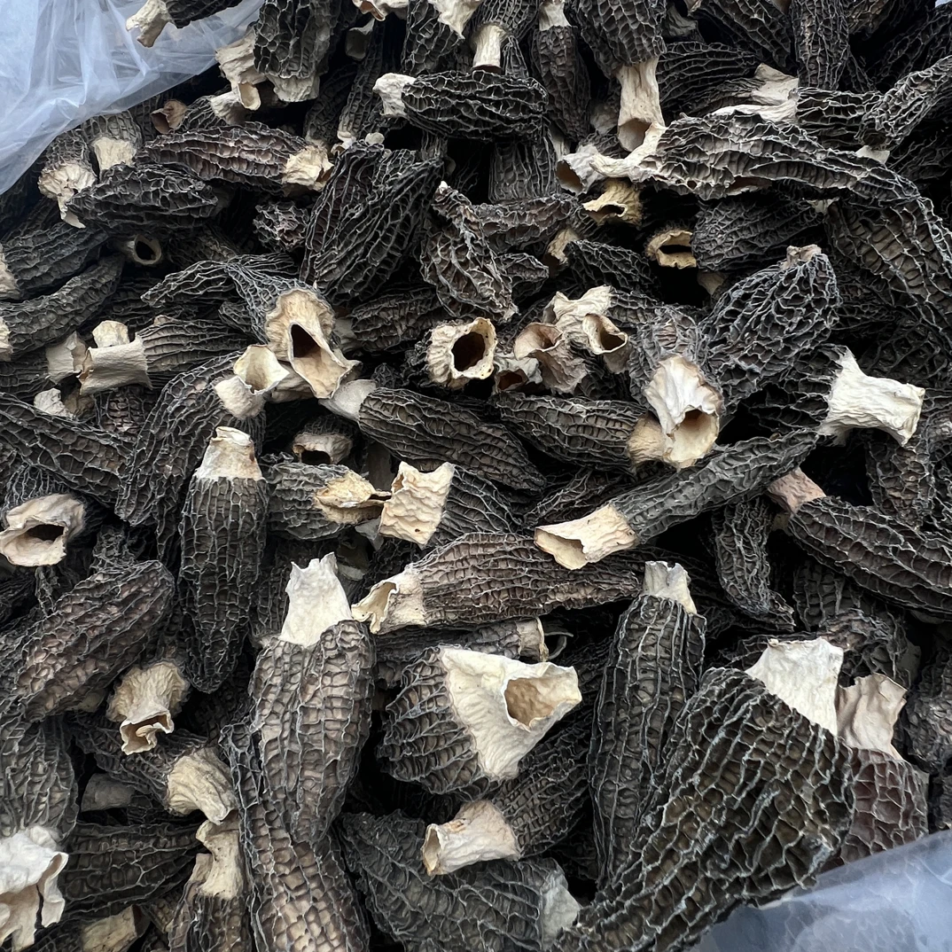 宝嫂福利六妹羊肚菌1228