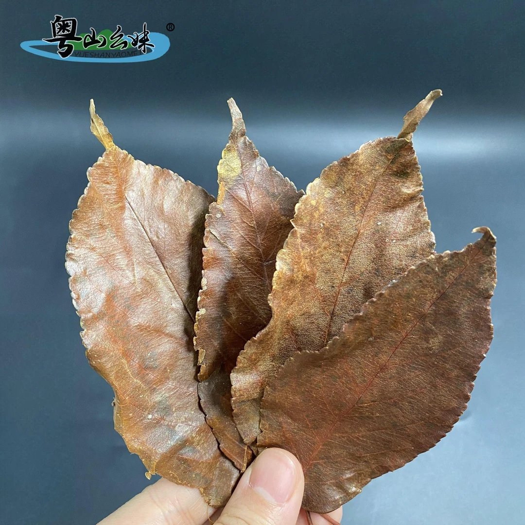 粤北山区农家山楂叶