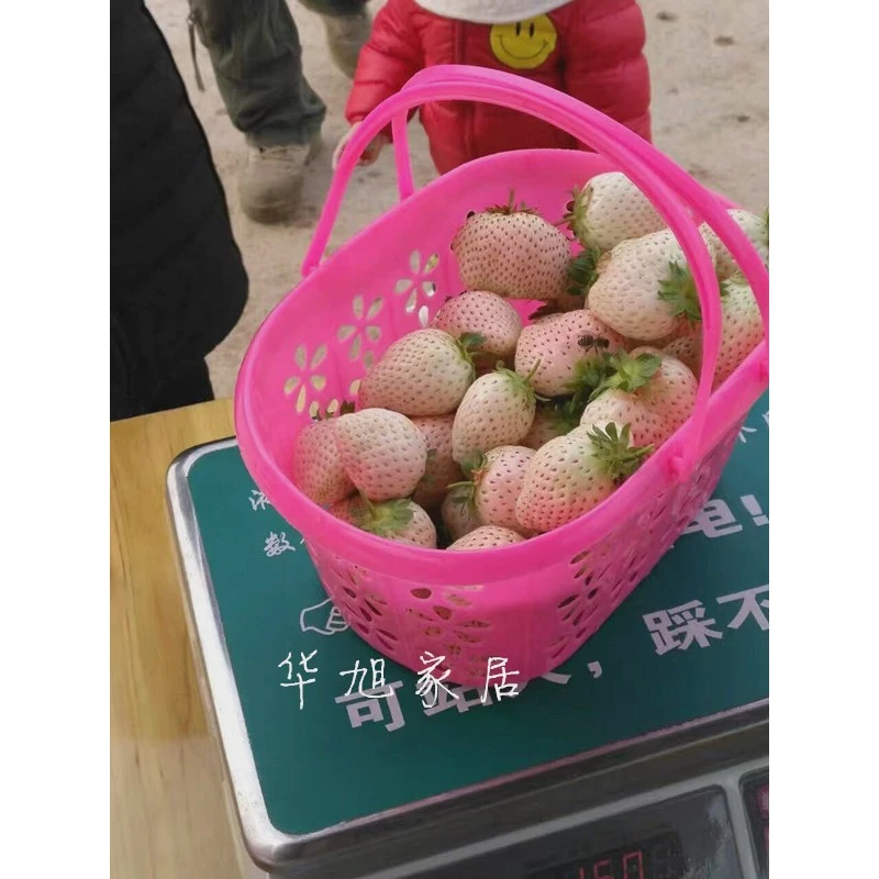 草莓采摘篮子鸡蛋水果塑料手提蓝莓樱桃桑葚杨梅无花果包装篮包邮
