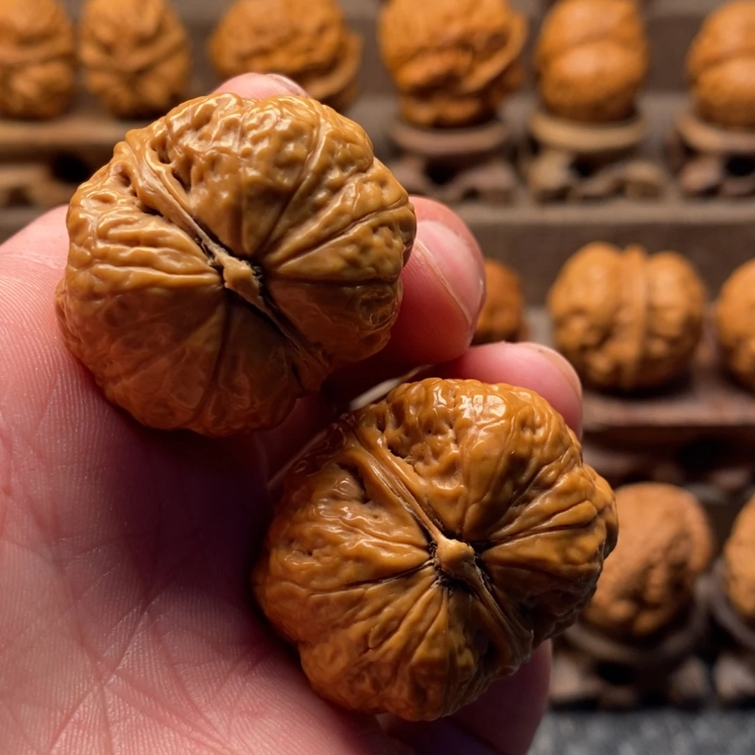 文玩核桃把件平头蟾38尺寸