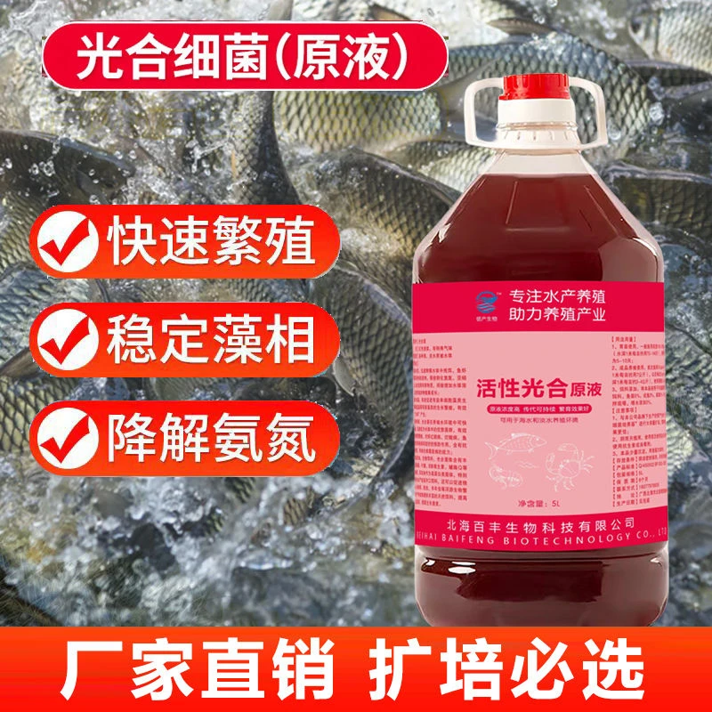 光合培养基净水剂氨氮乳酸菌亚盐污水处理水产养殖鱼药em菌
