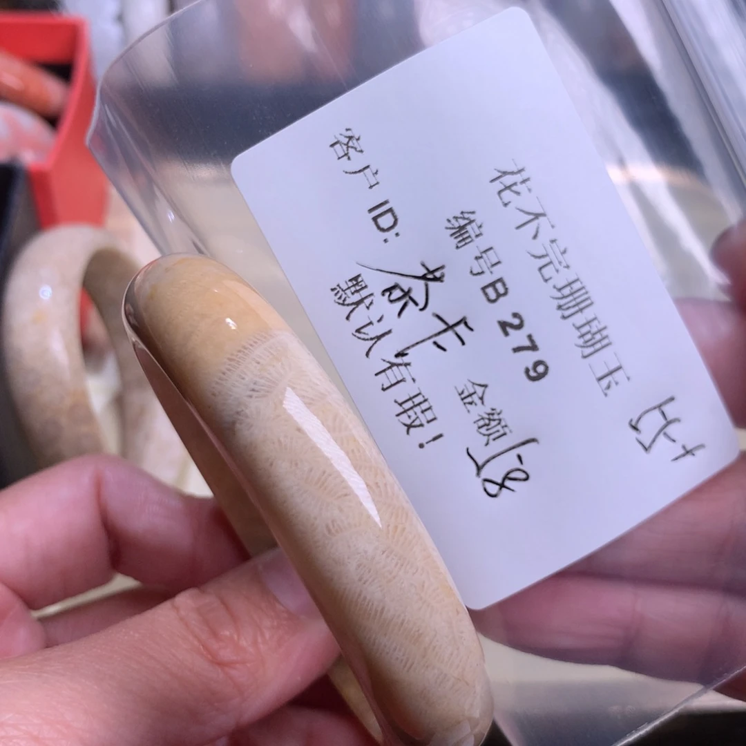 硅化玉颈饰未镶嵌?****?