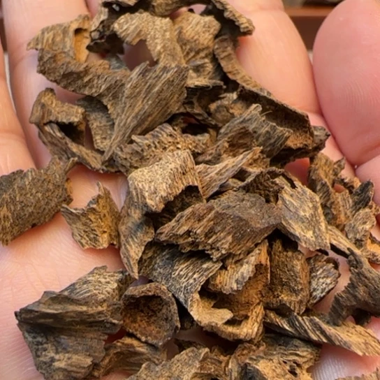 摆件沉香老海南野鸡母虫10克