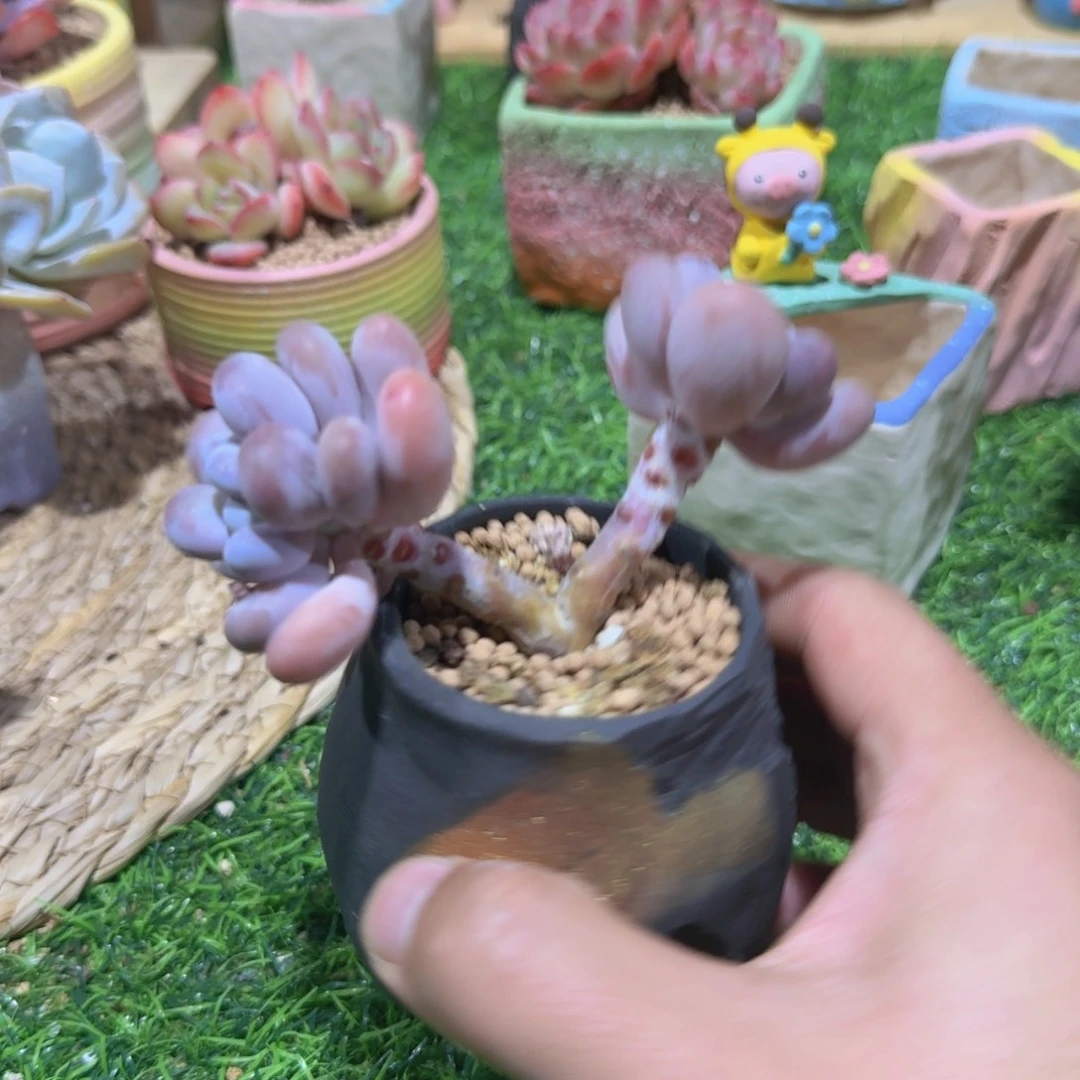 啊啊啊啊啊啊啊啊啊啊