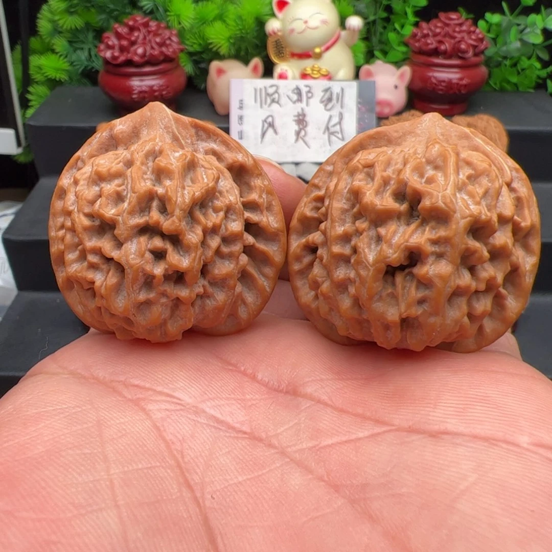 把件文玩核桃野生红珊瑚，尺寸42
