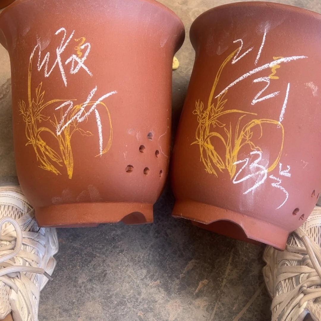 23………………………………………………