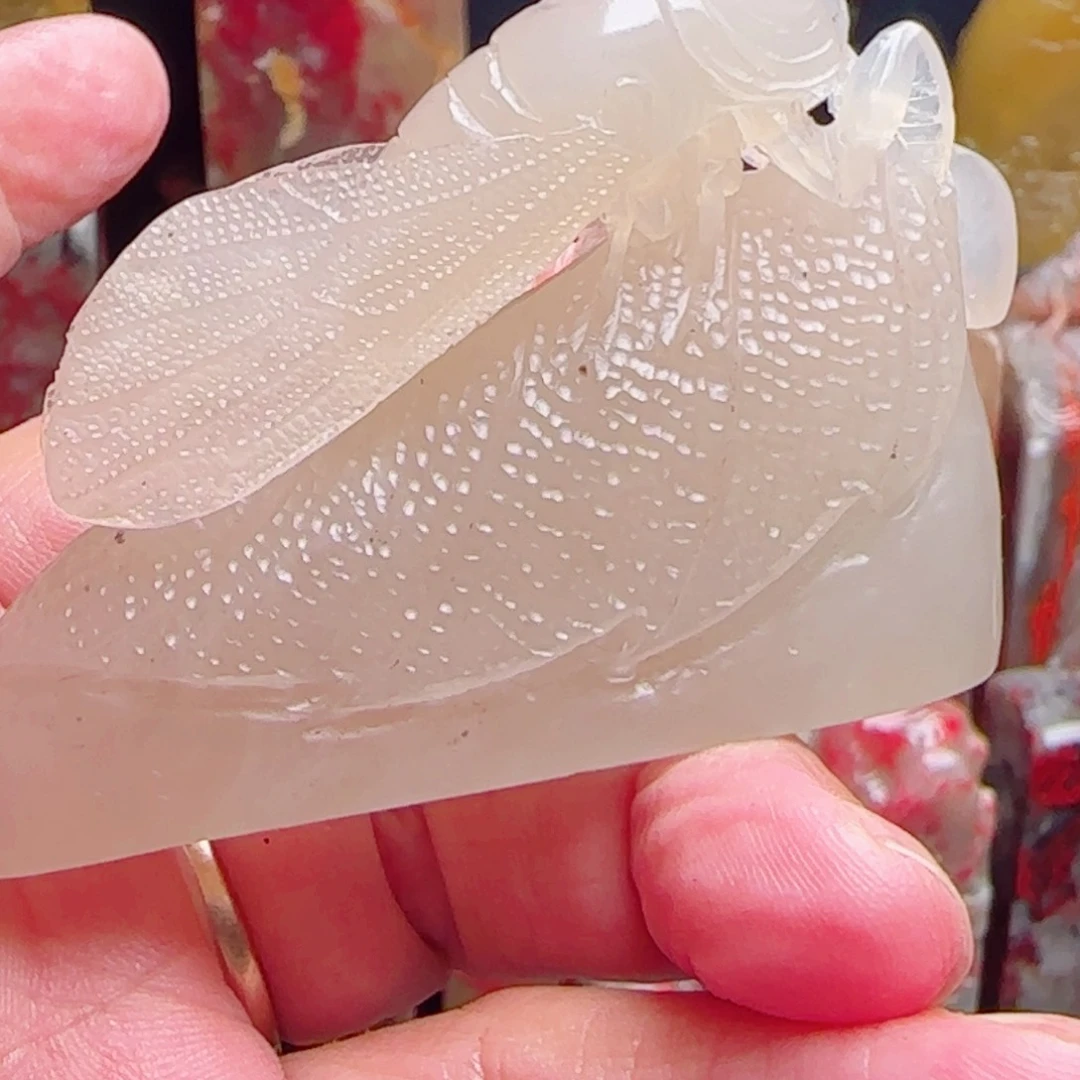 1***熊昌化石白玉冻印石