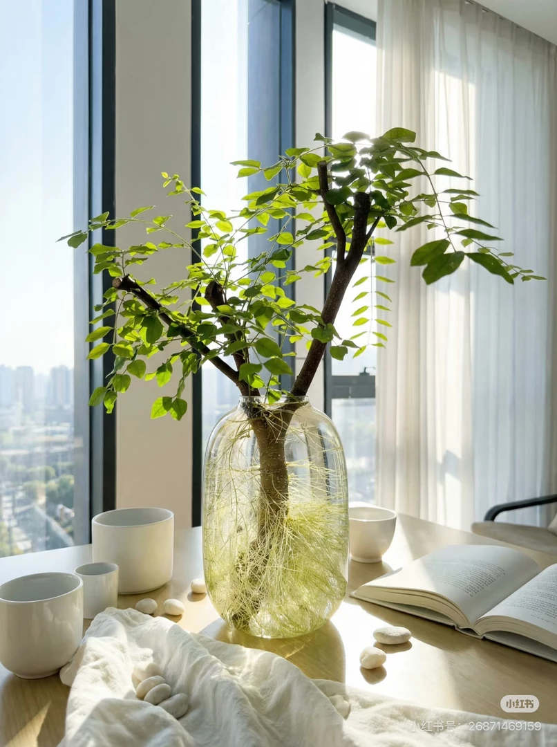 上春 -- 高端水培绿植鲜切枝四季可养