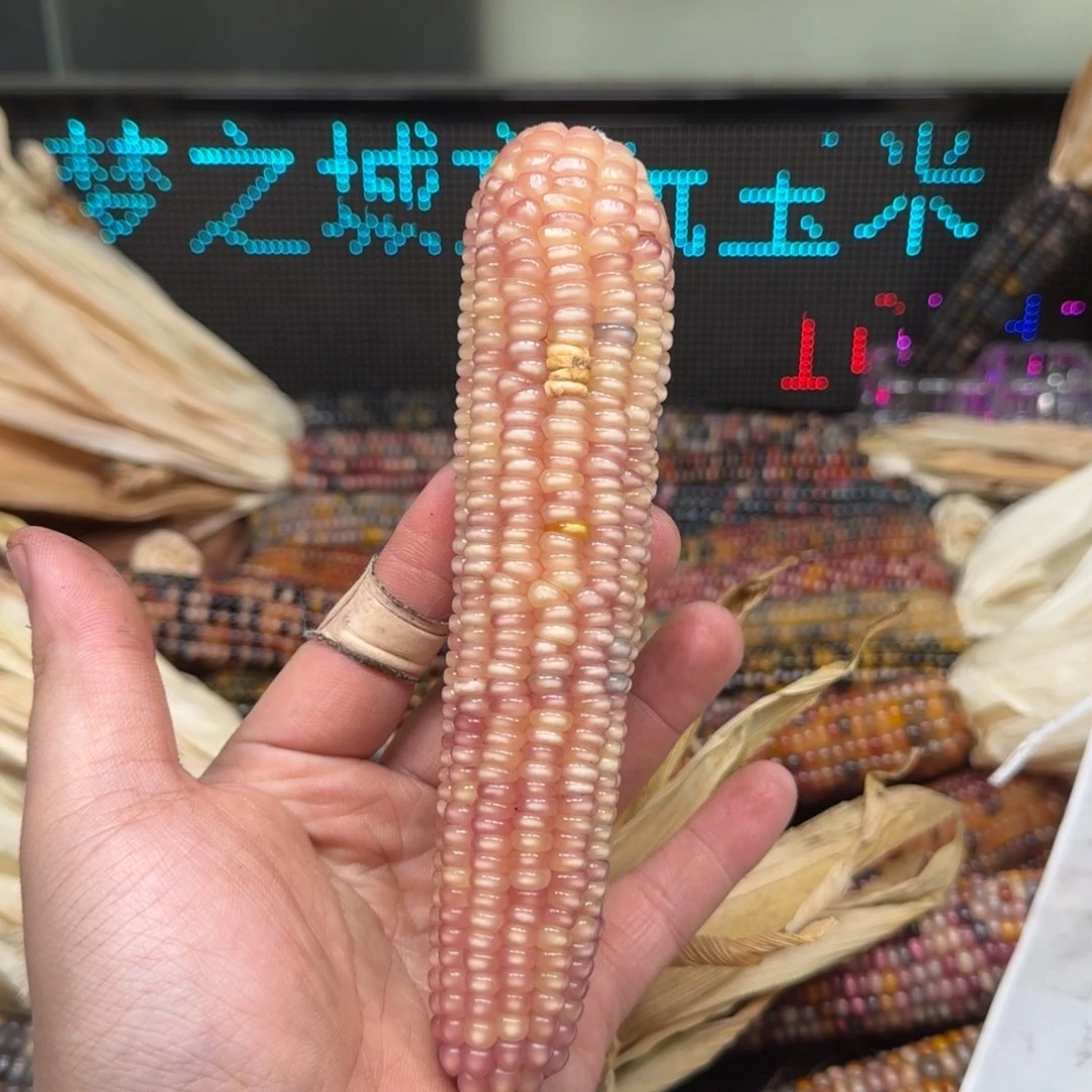 柏香籽/百香籽吊坠夜****时