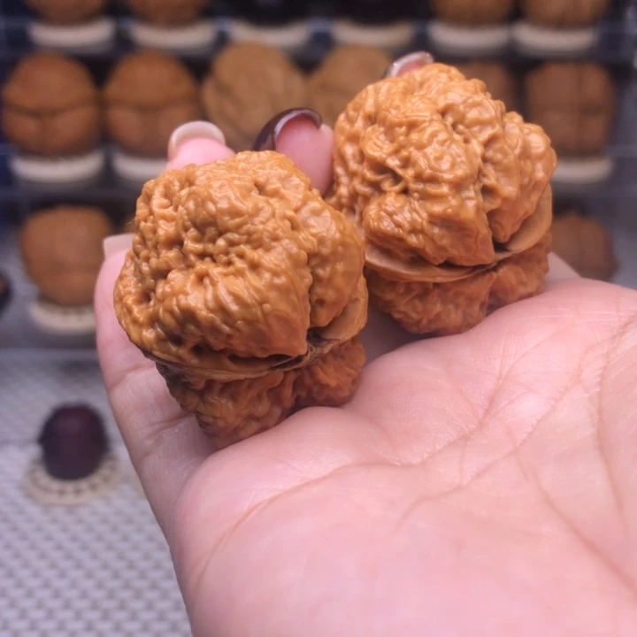 文玩核桃把件65号小帝王蟾36尺