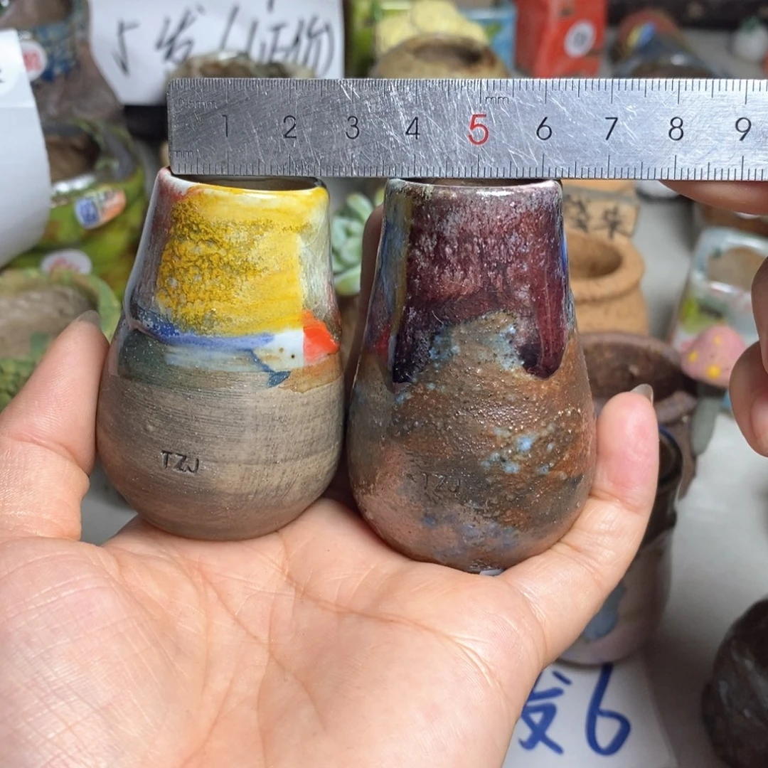 困*?拍5送一个小礼物