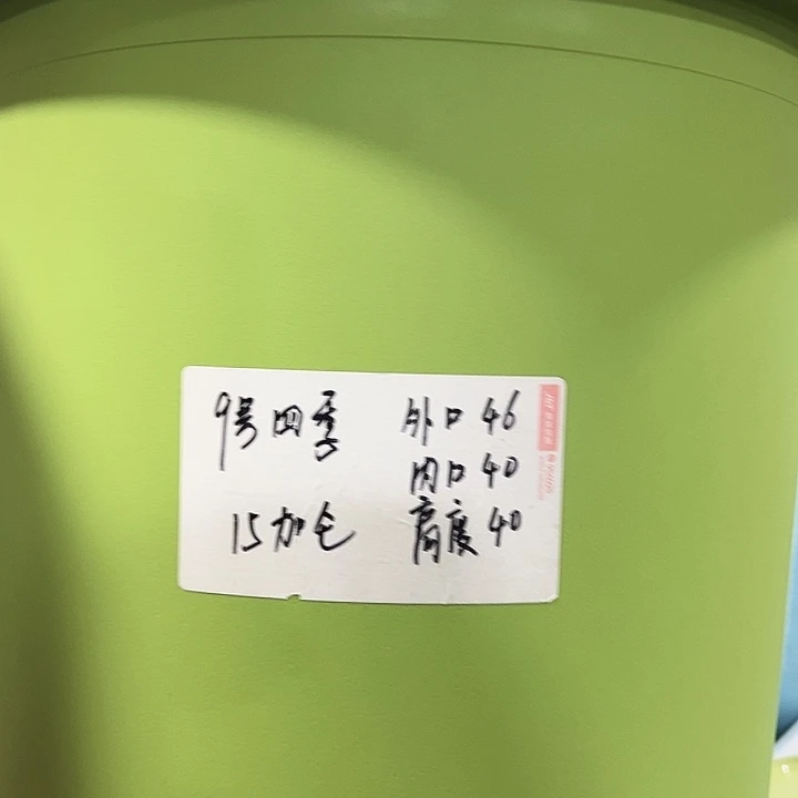 特价9四季口46高40果绿无托4只