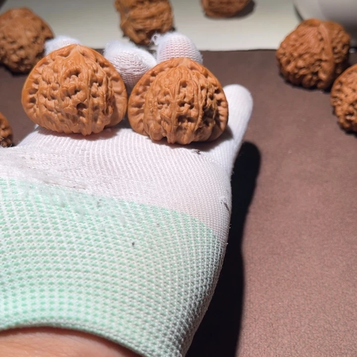 黑***默精品白狮子三角白