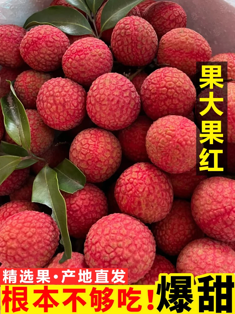 顺丰冷链发货白糖罂荔枝新鲜现摘茂名高州妃子桂笑味广东特产水果