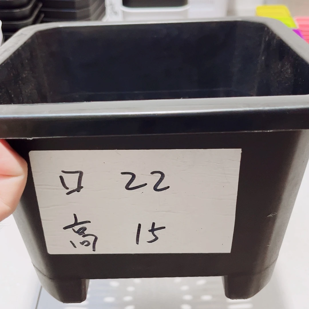 加厚景天口22高15黑色10个无托