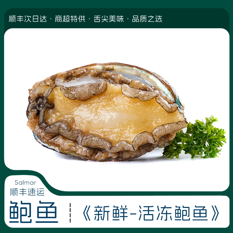 【3-4头新鲜大鲍鱼1斤】新鲜活冻大鲍鱼 海鲜年货 3仓发货 次日达