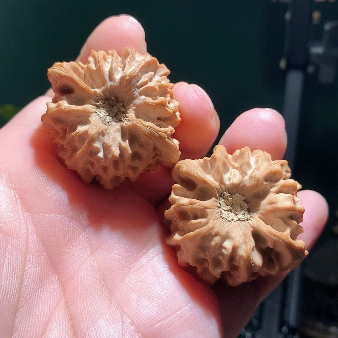 把件文玩核桃40龙门涧全品