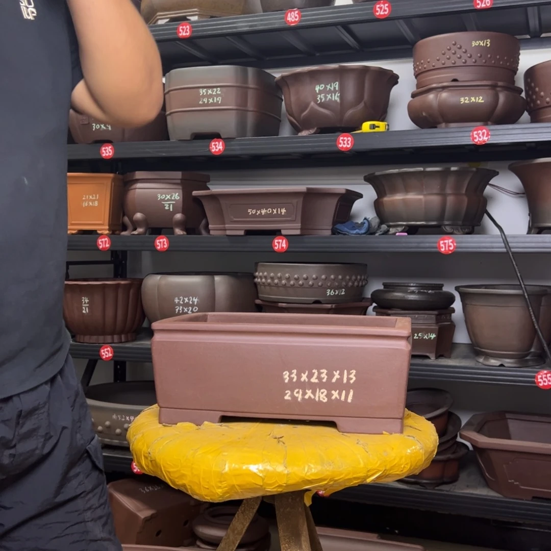 紫砂花盆呜呜呜呜呜我