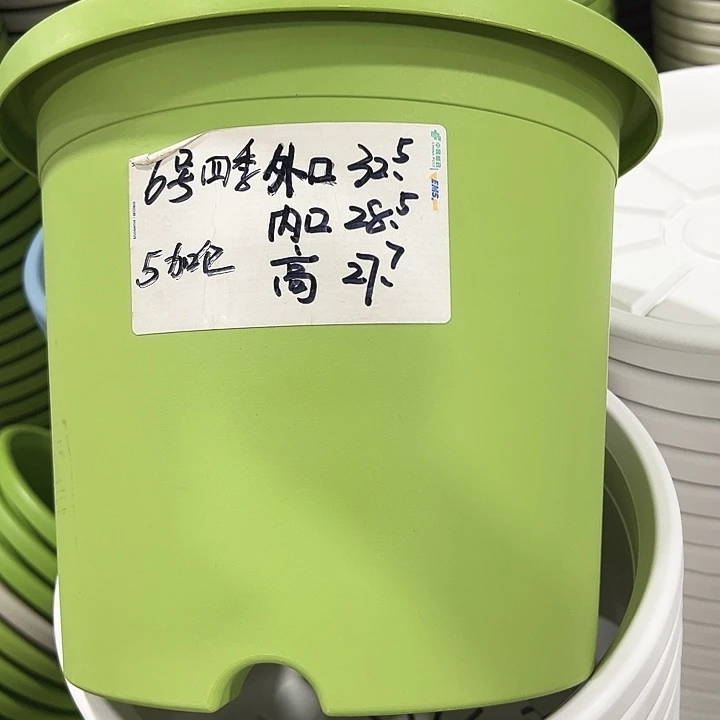 特价6号口32.5高27白色5只带托