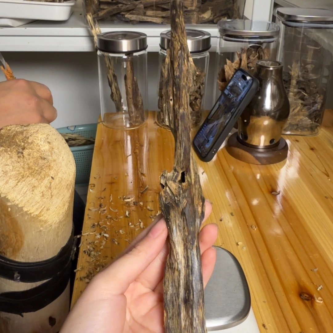 沉香张勺子虫漏香26克