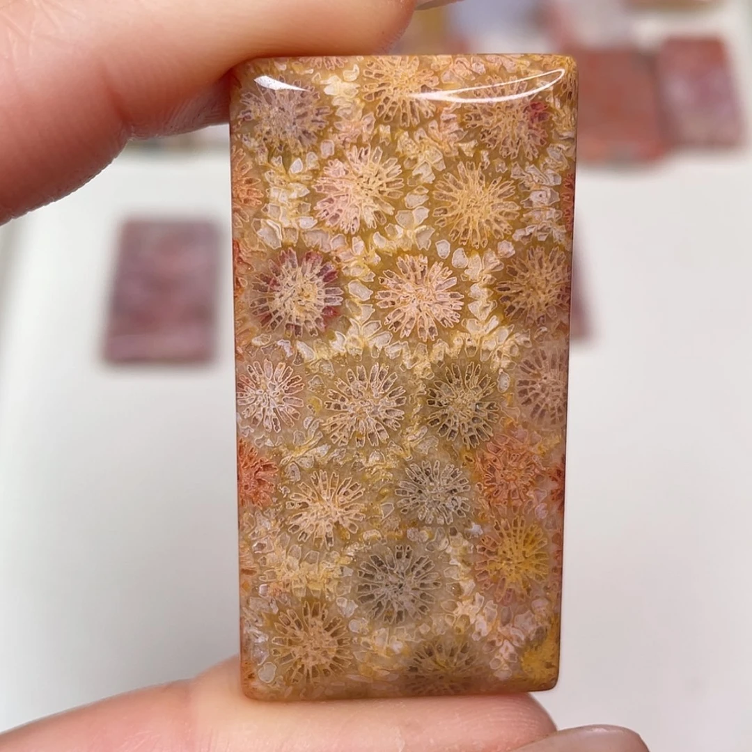 【闪购商品】未镶嵌吊坠(赠链)硅化玉