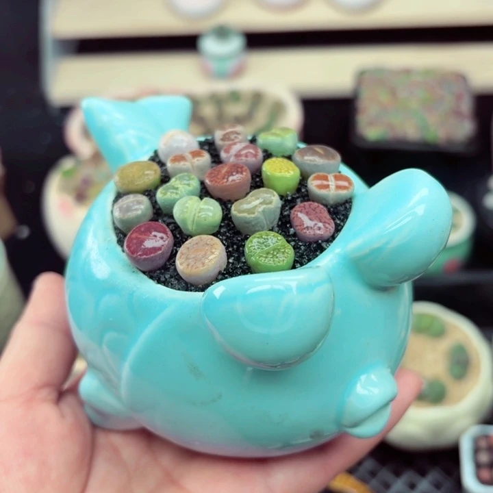 828零下地区记得拍保温箱