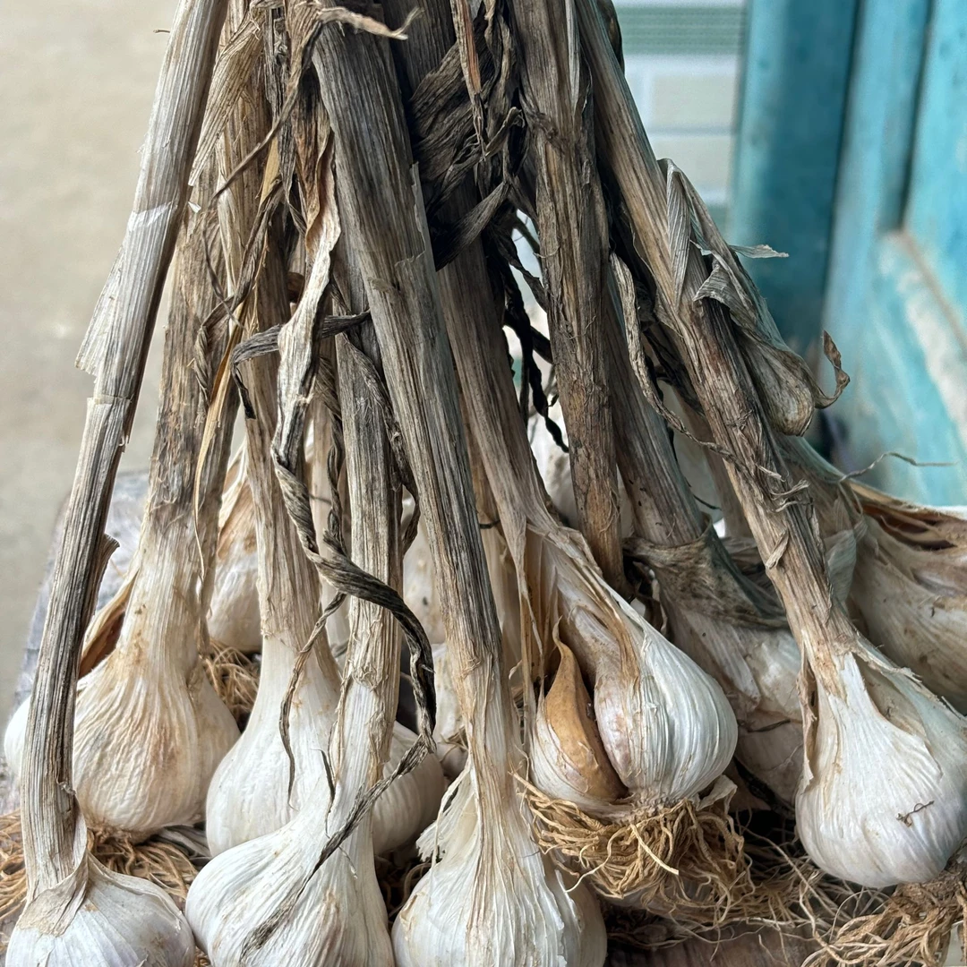 农家自种干笋地地道道干笋