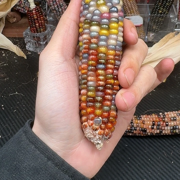 柏香籽/百香籽吊坠用****9