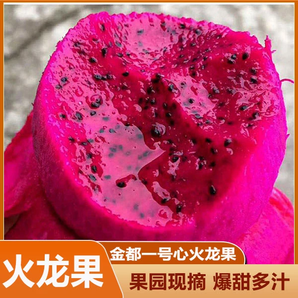广西红心火龙果3斤新鲜热带水果当季整箱红色金都一号红龙果大果