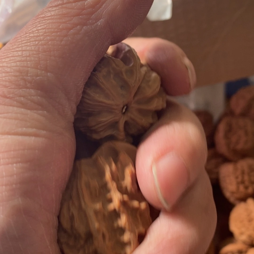 大*秦岭南侧和东北北部部分