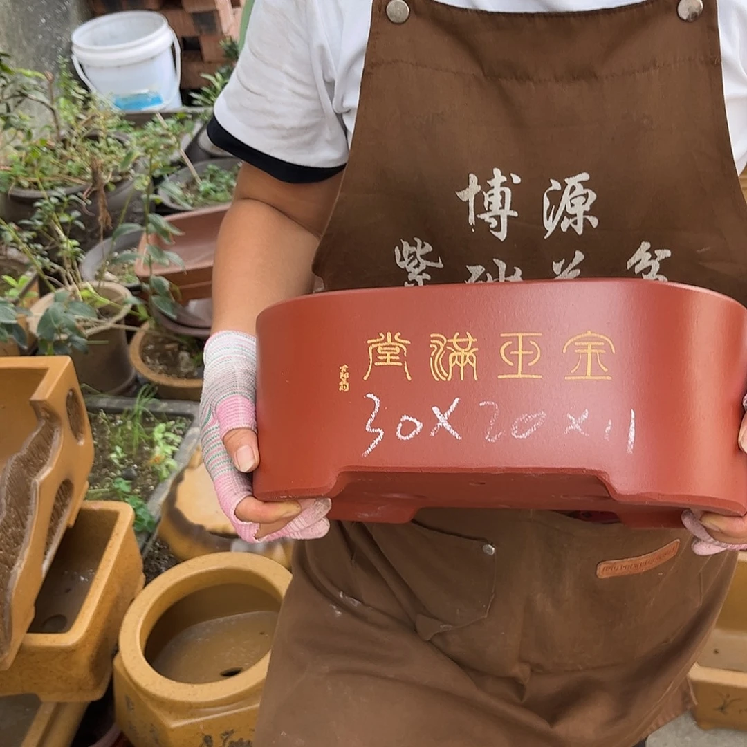 紫砂花盆盆景艺术