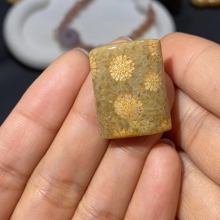【闪购商品】未镶嵌珊瑚玉硅化玉