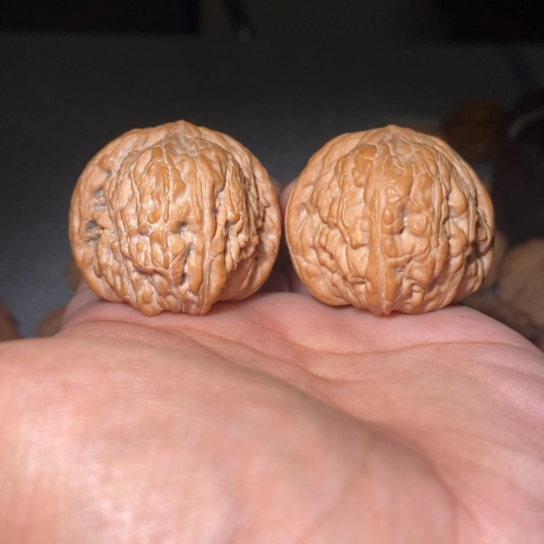 桃核吊坠37尺泥鳅背