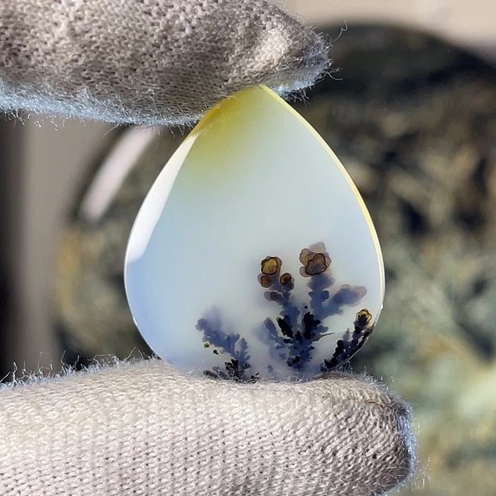 梅花画面图案美景