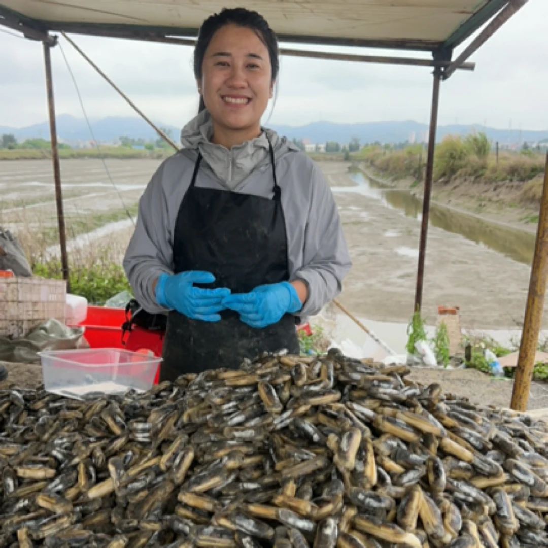 福清海口新鲜蛏现挖现发全干原蛏不注水（岩石海蛎）