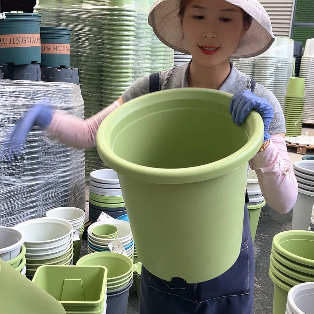 四季盆7#果绿色6个无托