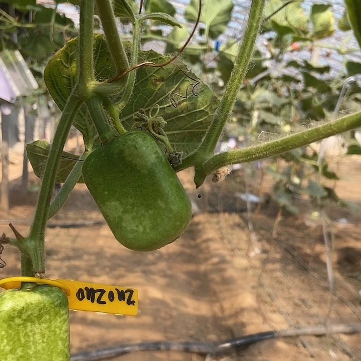 沙*金开播的时候我也是