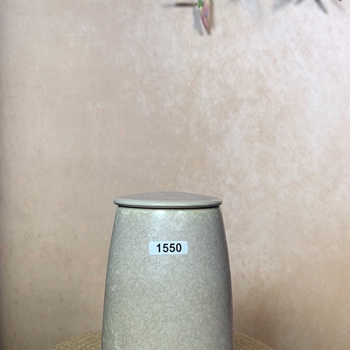 静***悄155000000000000000