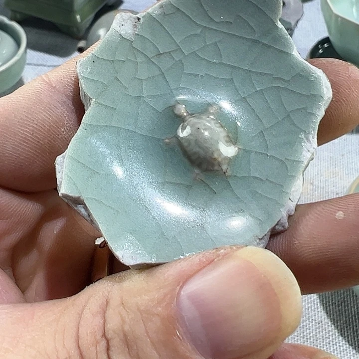 杯魔***珠龙泉窑瓷片标本