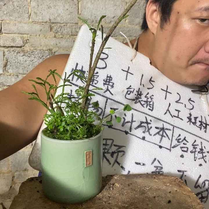 退款拉黑一物一拍360