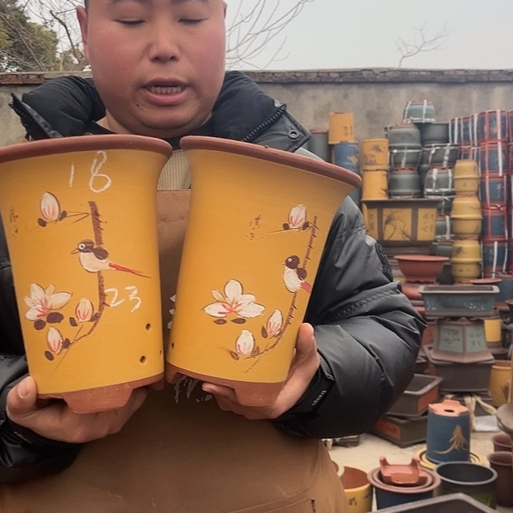 紫砂紫砂花盆盆栽