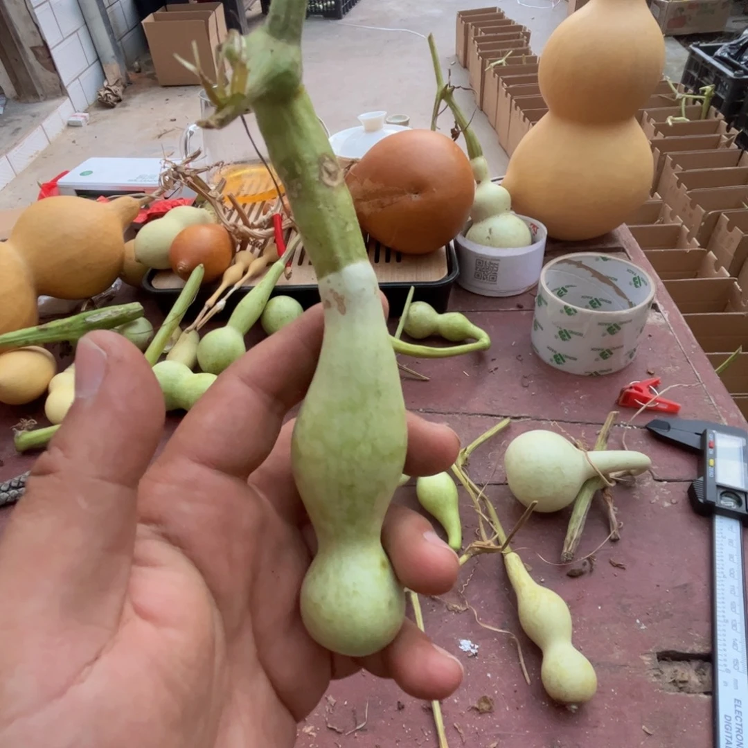 吉***祥文玩葫芦吊坠项链