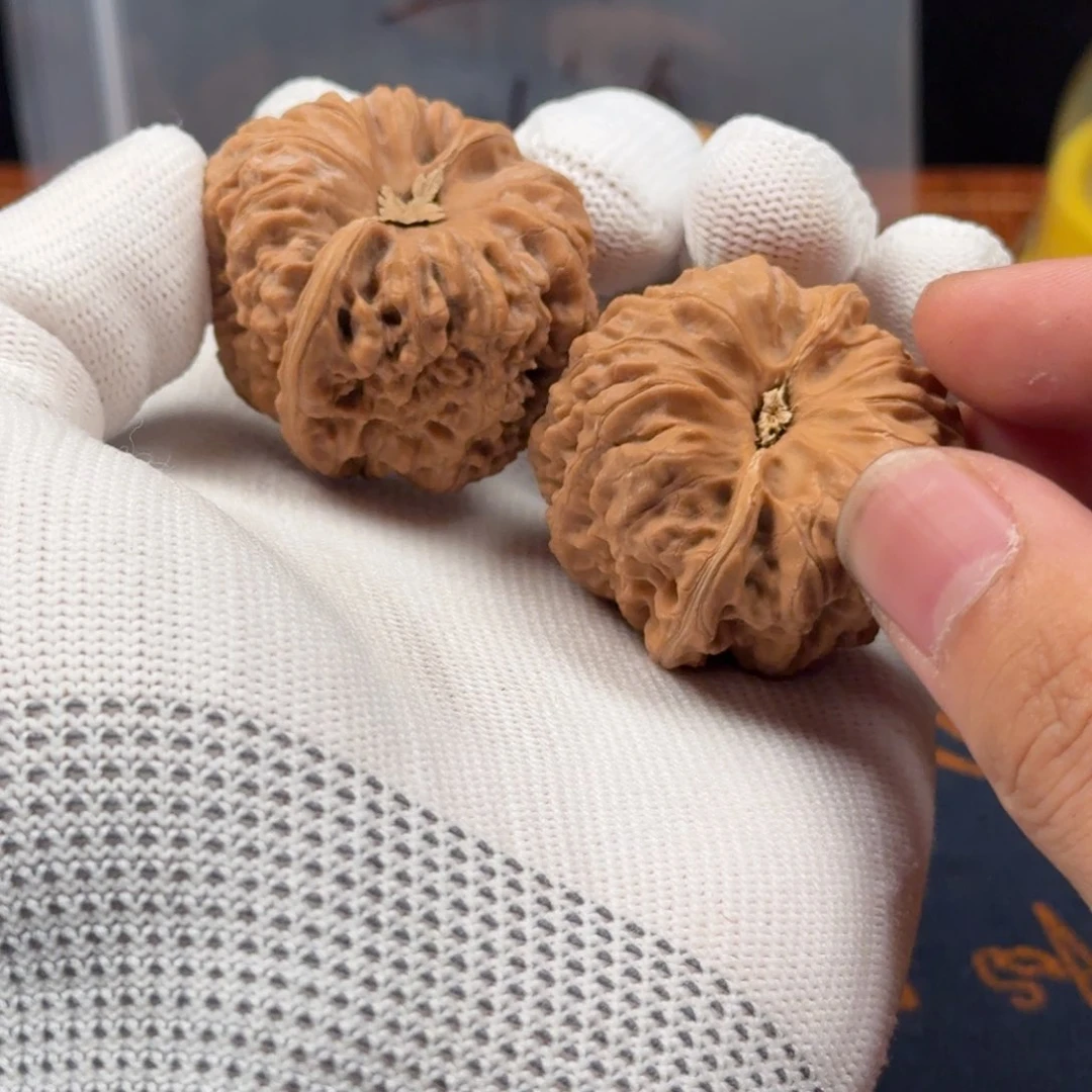 核桃手串/手链我问哈他不接哈哈