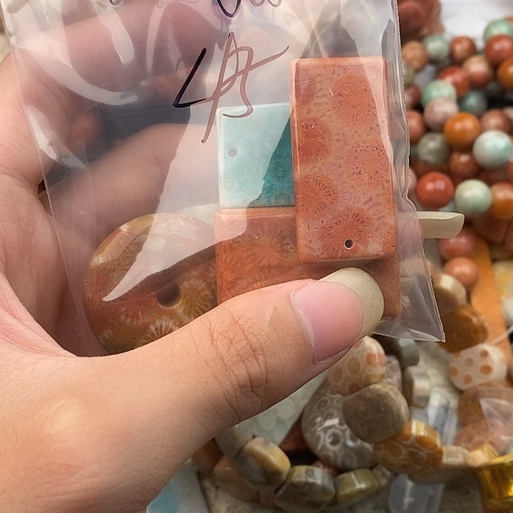 北***风硅化玉颈饰未镶嵌