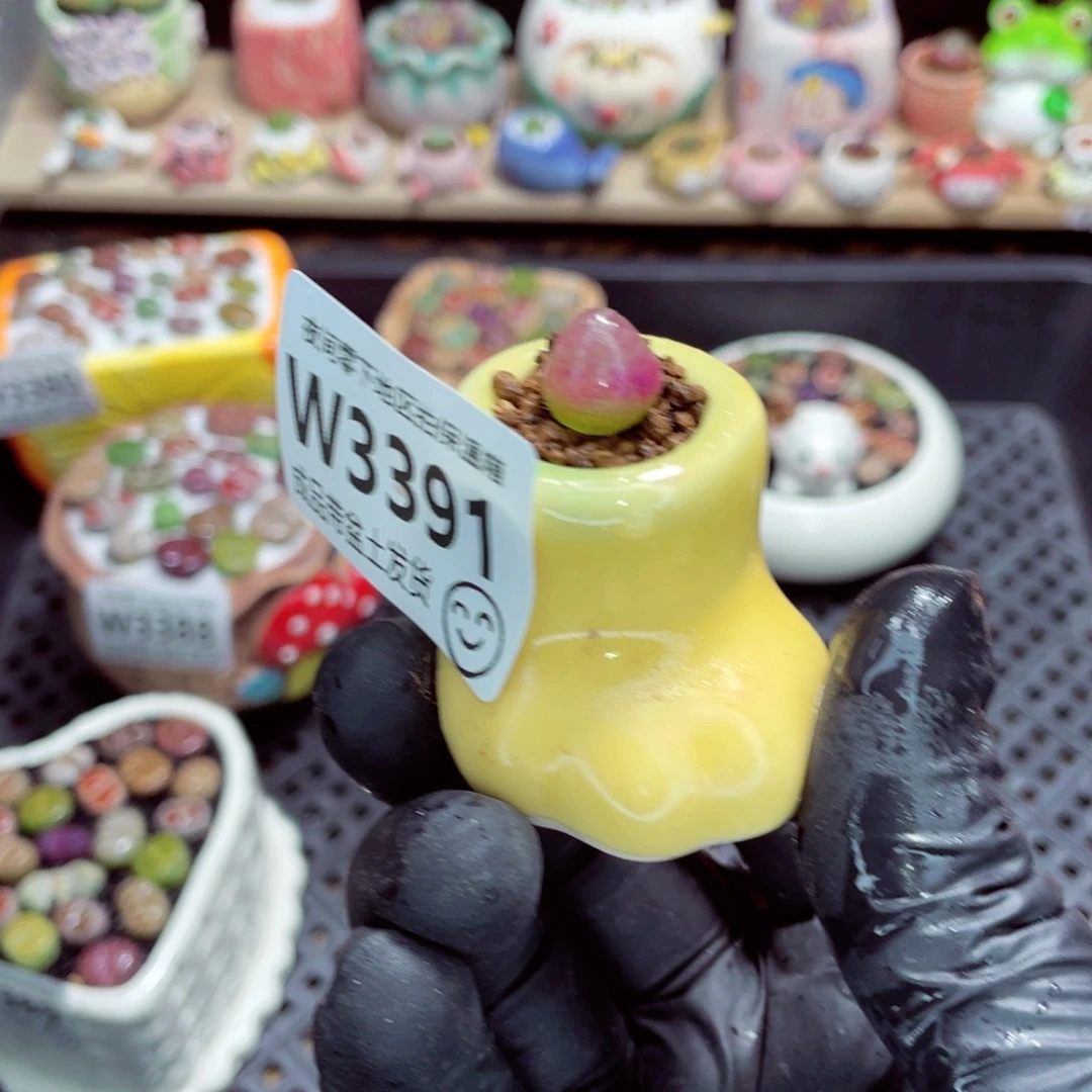 夜间零下地区拍保温箱w3391