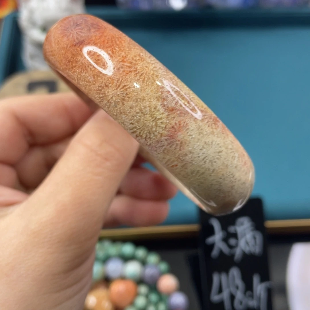 未镶嵌手镯硅化玉