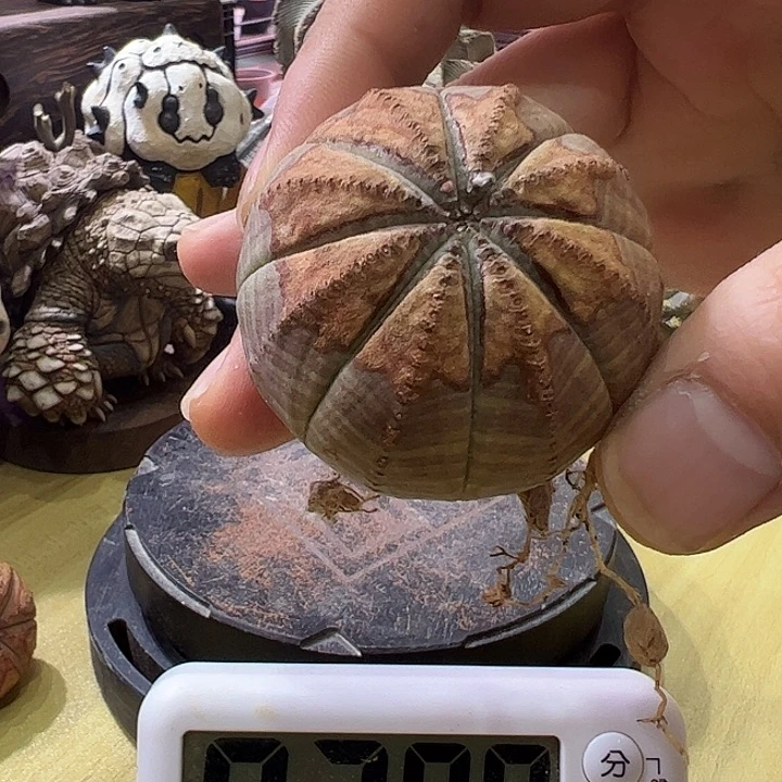 上**铁娇娇娇娇娇娇娇娇家